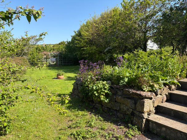 Sarah's Cottage garden